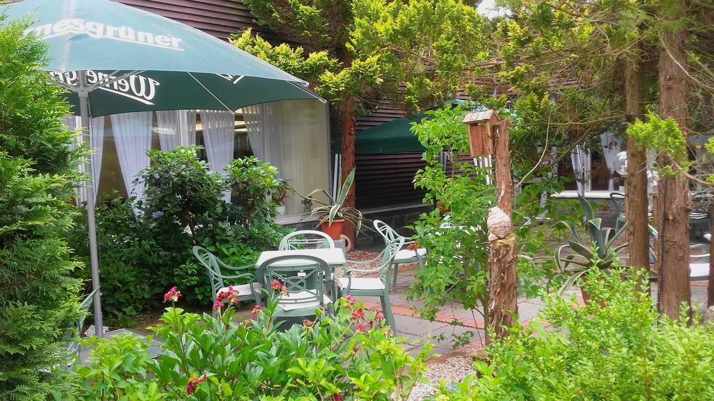 Ferienhotel Markersbach المظهر الخارجي الصورة